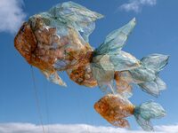 Collecte de déchets - Plage de Quinéville à Quinéville