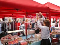 VIDE-GRENIERS à Larra