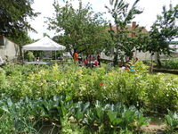 Découverte du jardin partagé à Jonzac