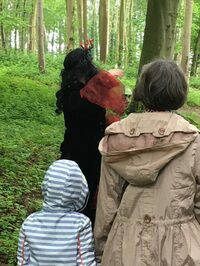 Parcours : écouter et voir les oiseaux à Eu