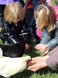 Aujourd'hui c'est toi le fermier ! à Granville