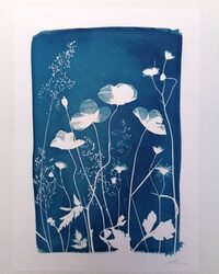 Expérience de Destination : je créé mon cyanotype avec les fleurs du Jardin Chri à Granville