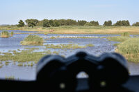 Samedi comptage à Braud-et-Saint-Louis
