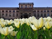 Exposition "Au fil de l'industrie" à Guebwiller