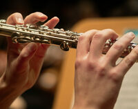 À travers bois à Bordeaux