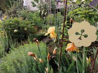 Ouverture exceptionnelle pour une évasion assurée à Beinheim