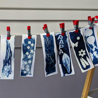 Atelier cyanotype à Lille