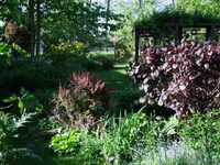 Visite du jardin Farandole pour un Curieux à Bischwiller