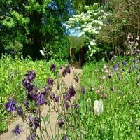 ALAIJE fête le printemps à Brantôme en Périgord