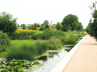 Balade botanique à Lyon 7e
