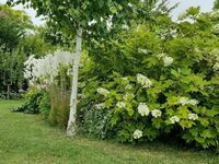 Un jardin d’exception, entre structure et poésie végétale à Barret