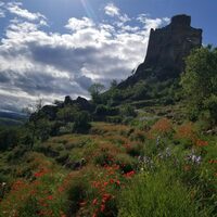 Api-terrasses vues par les abeilles à Léotoing