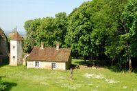 Visite du parc et du château d'Arlay à Arlay