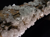 Visite insolite : L’art de la synthèse à Paris 5e