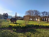 Jardin à perte de vues à Wintzenheim