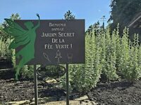 Découvrez le Jardin secret de la Fée verte à Fougerolles-Saint-Valbert