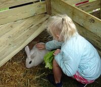 Visite des animaux - Ferme-musée du Cotentin à Sainte-Mère-Église