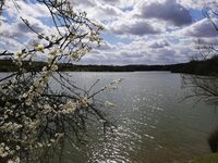 NATUR'OLAC DE LA THÉSAUQUE à Montgeard