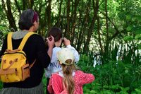 Photographier la faune avec éthique à Boult-aux-Bois