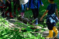 Photographier la petite faune de la mare à Boult-aux-Bois