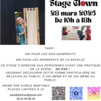 Stage adultes Clown à Pertuis