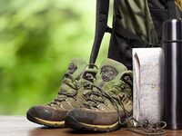 Sur les traces des mammifères semi-aquatiques à Fondettes