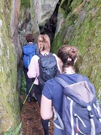 Randonnée en forêt de Fontainebleau : Les gorges de Franchard à Jargeau