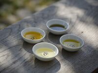 VISITE GUIDÉE DE L'HUILERIE MOOG à Bram