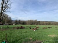 Rando 1/2 journée à Servon