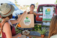 Marchés des Producteurs de Pays d'Ollioules à Ollioules