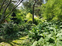 Découverte d'un jardin créé par une passionnée à Bernwiller