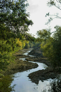Le rêve du canal - Atelier 6/12 ans à Nevers