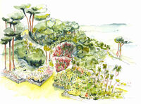 Visite du Jardin Georges Delaselle à Île-de-Batz