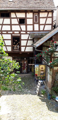 Visite libre d'un jardin de ville à Barr