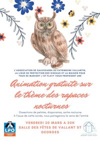 Animation sur les rapaces nocturnes à Vallant-Saint-Georges à Vallant-Saint-Georges