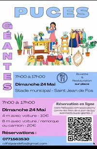 PUCES GÉANTES à Saint-Jean-de-Fos