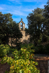LA TRAÏLADES DES VINCOEURS à Montpeyroux