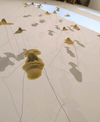 Ateliers « Bébêtes du jardin » à Châtillon