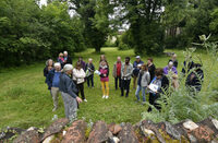 Visite jardin & plantes à Ambronay