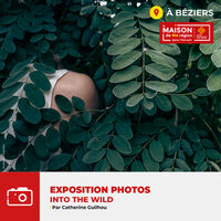 Exposition "INTO THE WILD" par Catherine GUILHOU à Béziers