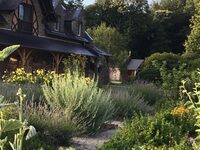 VISITE – Découverte des plantes médicinales à Fontaine-Daniel