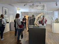 Découverte des collections du musée à Boulogne-sur-Mer