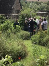 Visite guidée des jardins ornementaux et nourriciers, entre plantes sauvages et  à Segré-en-Anjou Bleu
