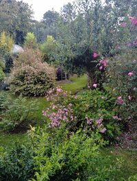 Visite libre à Pré-en-Pail-Saint-Samson