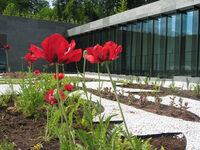 Visite-atelier "Esprit jardin" à Wingen-sur-Moder