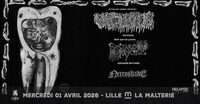Cerbère Coryphée présente : Vacuous + Bastard Mycosis + Necro Shade à Lille