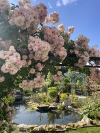 Ouverture du jardin de la Piroudotte à Noironte