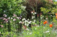 Visite du jardin « À la croisée des sens » à Fontaine-Française