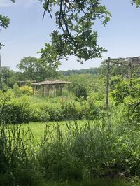 Ouverture des Jardins des Arcands – visite libre et salon de thé sous les chênes à Segré-en-Anjou Bleu