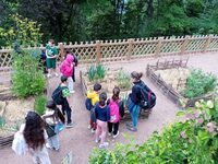 Atelier scolaire : le jardin à la loupe à Orschwiller